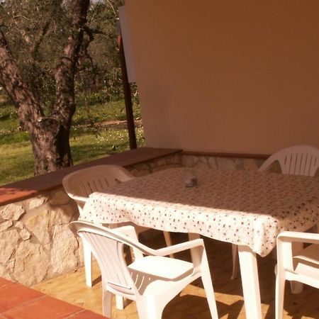 Villa Oleandro Ciccino Vieste Esterno foto