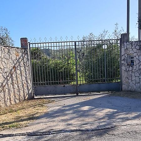 Villa Oleandro Ciccino Vieste Esterno foto